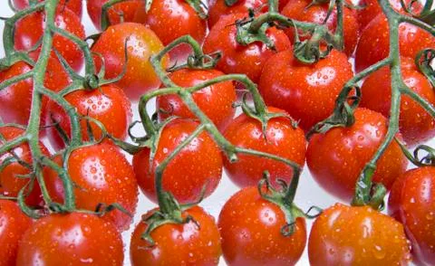 Red tomatoes in drops of water Foto stock