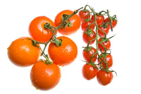 Red tomatoes in drops of water Foto stock