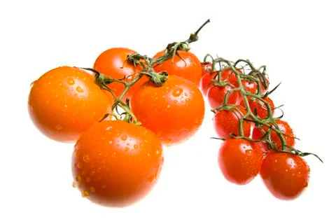 Red tomatoes in drops of water Foto stock