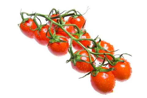 Red tomatoes in drops of water Stock Photos