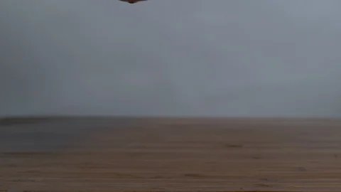 Red tomatoes falling on wooden Stock Footage 100006054