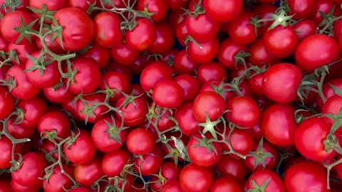 Red tomatoes Stock Footage 240425297