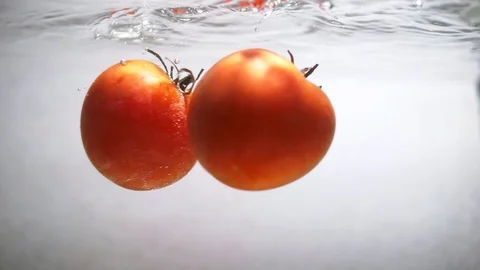 Red tomatoes with green branches on a light background in water Stock Footage 102660434