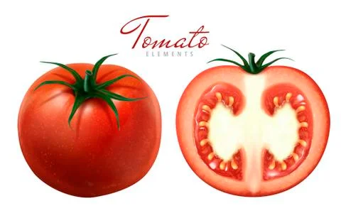 Red tomatoes illustration Stock-Illustration