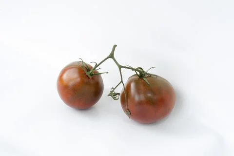 Red tomatoes on an isolated background Stock Photos