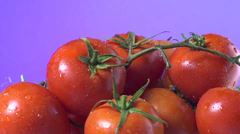 Red Tomatoes isolated rotating on purple background Video stock 62413690