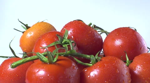 Red Tomatoes isolated rotating on white background Stock Footage 62413917