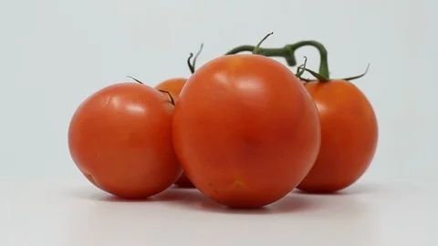 Red Tomatoes on an isolated white background Stock Footage 109547407