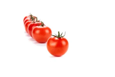 Red tomatoes lined up in a row on a white background 库存照片