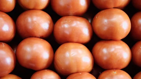 Red tomatoes in a market Video stock 128018540