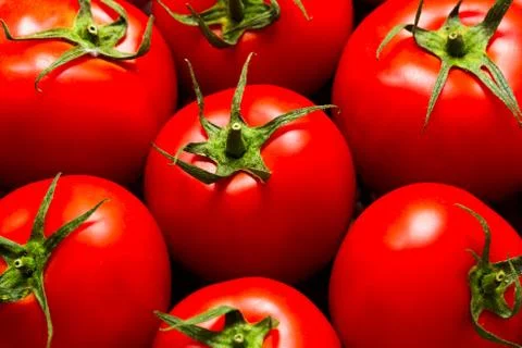Red tomatoes natural light, top view Stock Photos