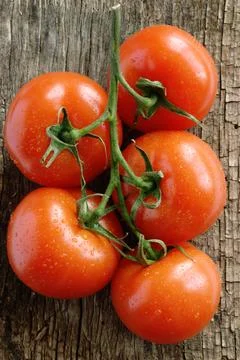 Red tomatoes on the old board Stockfoto's