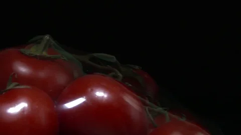 Red tomatoes in the package 스톡 동영상 77955222