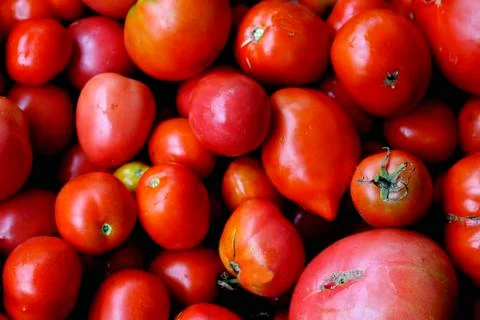 Red tomatoes Stock Photos