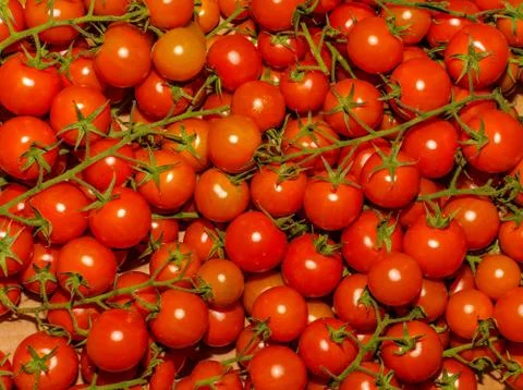 Red tomatoes Stock Photos