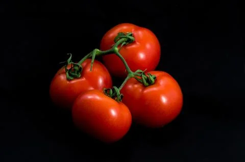Red tomatoes 写真素材