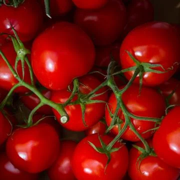 Red tomatoes Foto stock