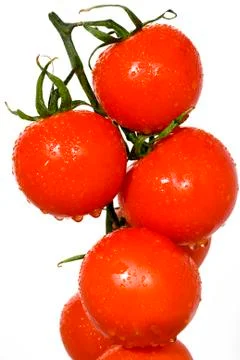 Red tomatoes Foto stock