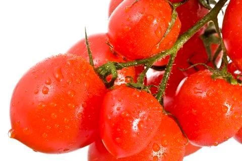 Red tomatoes Stock Photos