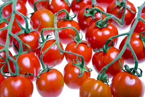 Red tomatoes Stock Photos