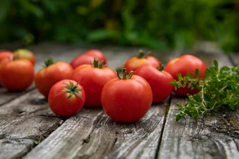 Red tomatoes Foto stock