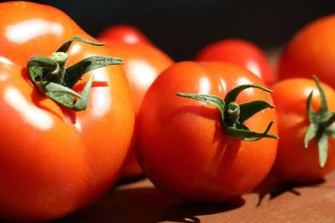 Red tomatoes Stock Photos