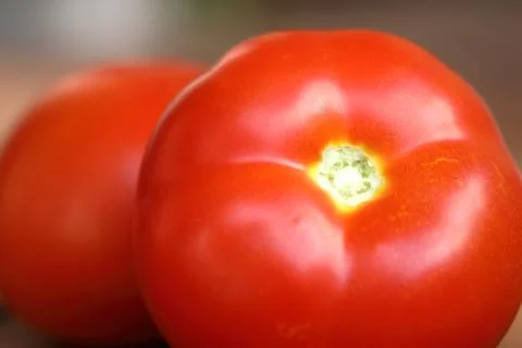Red tomatoes Stock Photos