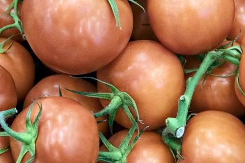 Red tomatoes Stock Photos