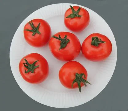 Red Tomatoes. Stock Photos