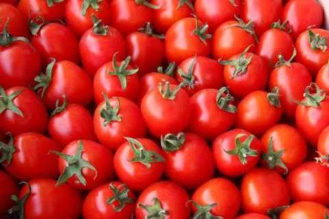 Red tomatoes Stock Photos