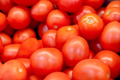 Red tomatoes 写真素材
