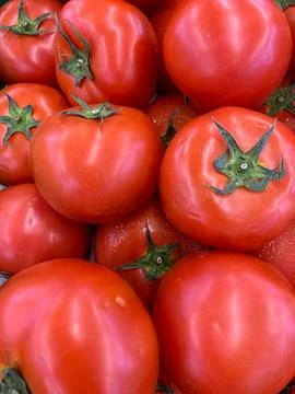Red Tomatoes Stock Photos