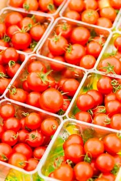 Red tomatoes Stock Photos