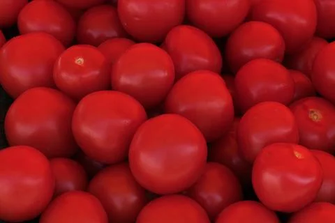 Red tomatoes Stock Photos
