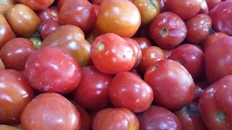 Red tomatoes 스톡 사진