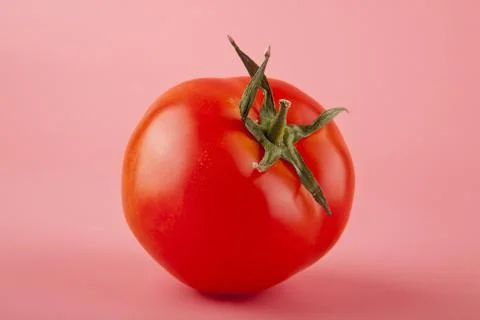 Red tomatoes on a pink background Stock Photos