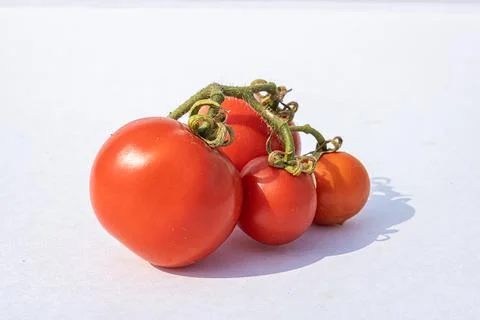 Red tomatoes shot on white background Stock Photos