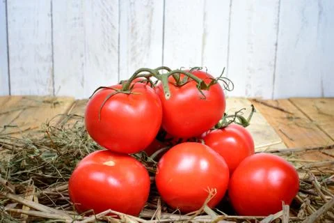 Red tomatoes in straw Stock-Fotos