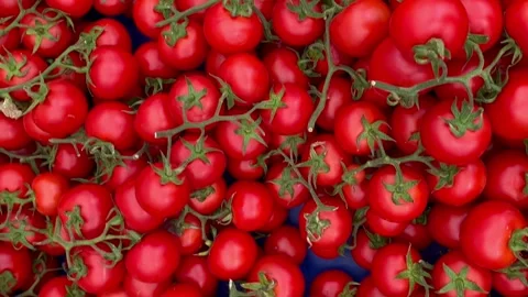 Red tomatoes top view vegetables Stock Footage 240425110