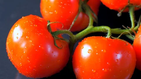 Red tomatoes on a twig black background Stock Footage 108144727