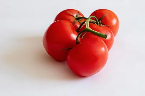 Red tomatoes on a twig on a white background. Red tomatoes on a white background Stock Photos