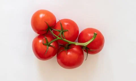 Red tomatoes on a twig on a white background. Red tomatoes on a white background Stock Photos