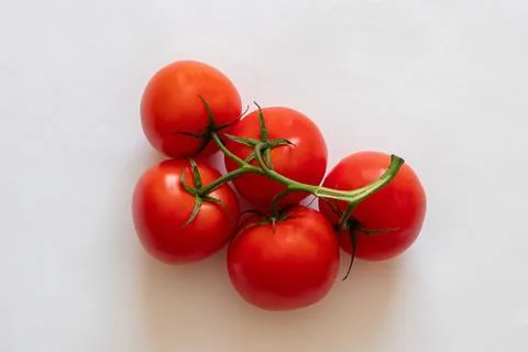 Red tomatoes on a twig on a white background. Red tomatoes on a white background Stock Photos