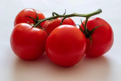 Red tomatoes on a twig on a white background. Red tomatoes on a white background Stock Photos