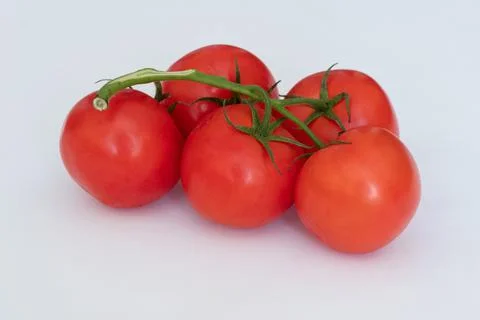 Red tomatoes on a twig on a white background. Red tomatoes on a white background Stock Photos