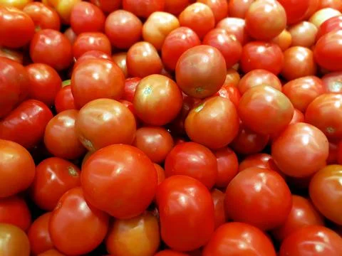 Red tomatoes vegetable background in local supermarket Stock Photos