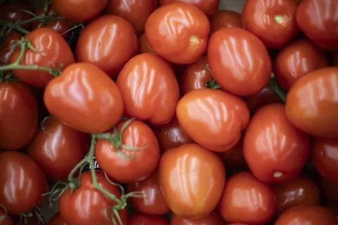 Red tomatoes. Vegetable texture. Tomatoes in the store. Stock Photos