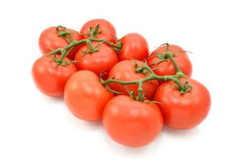 Red tomatoes on the vine Stock Photos