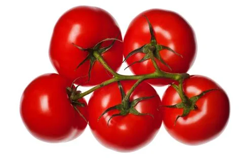 Red tomatoes on vine Stock-Fotos