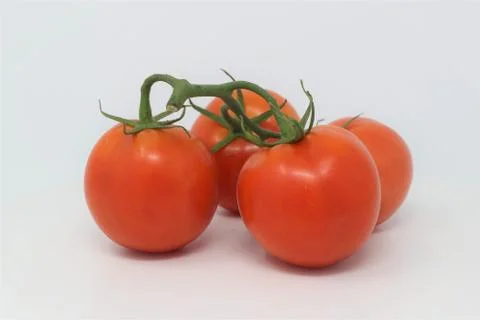 Red Tomatoes On The Vine Stock Photos
